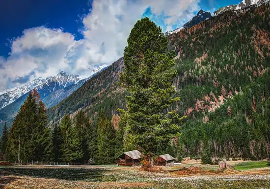 Himachal Pradesh
